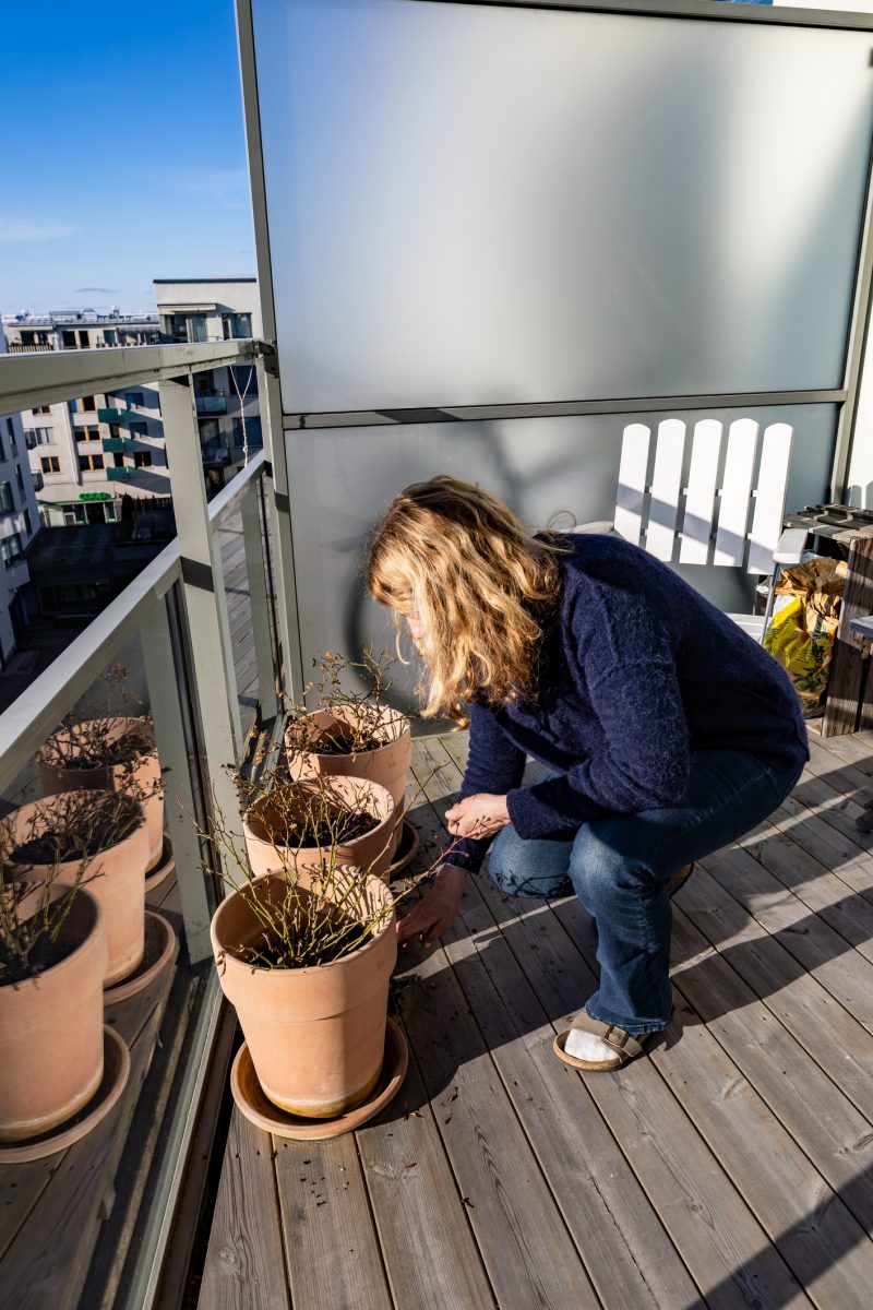 Stockholm, Sweden A woman tends to her potted plants on the balcony in the spring.after winter.