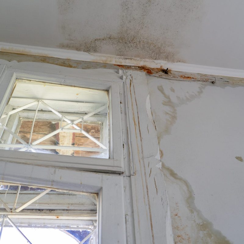 Självdragsventilation brister